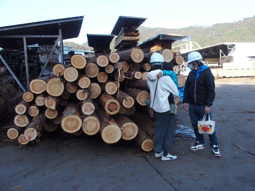 写真：積み上げられた木材の断面を見ている様子
