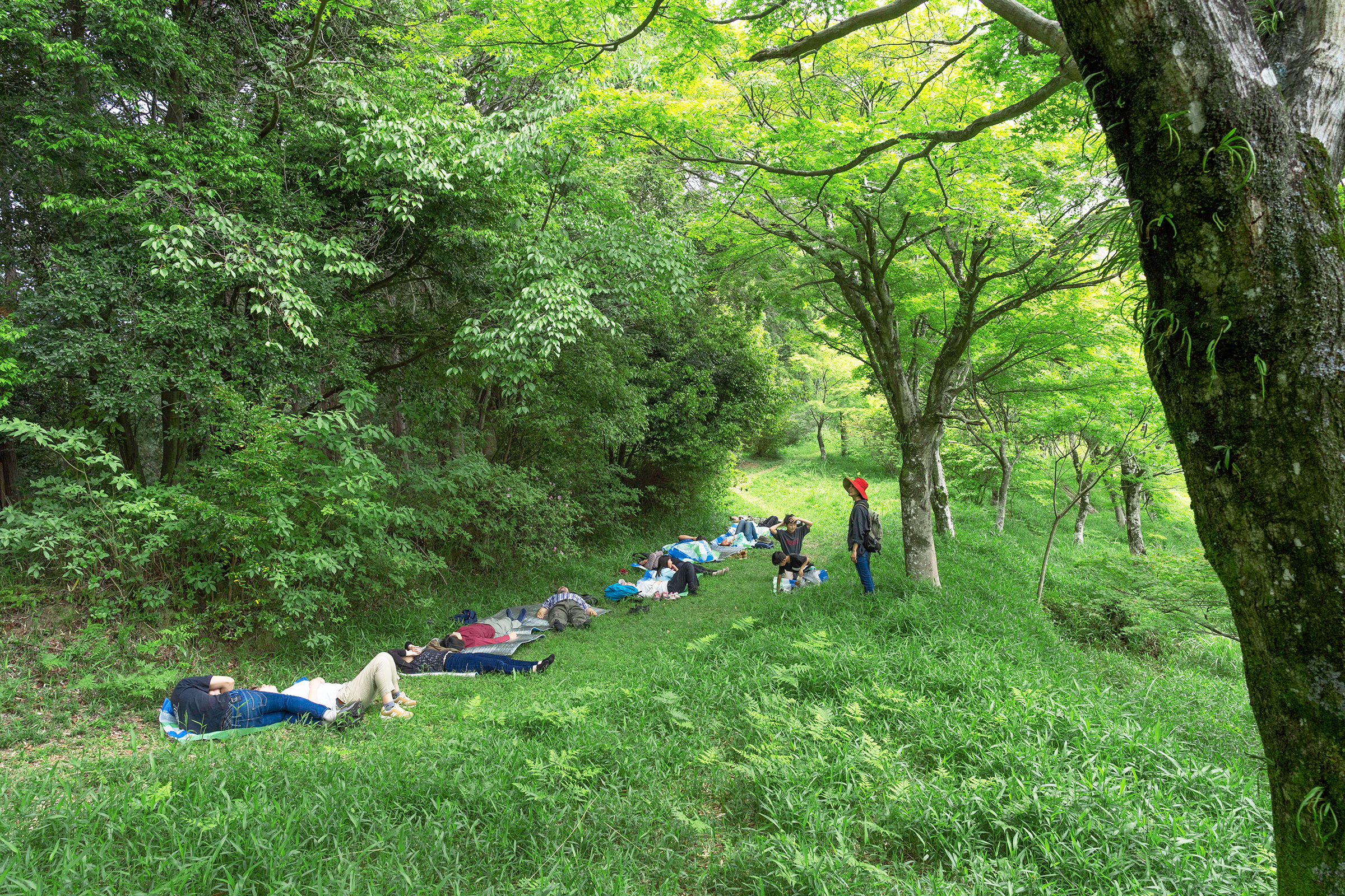 写真：森の中に寝そべる人々