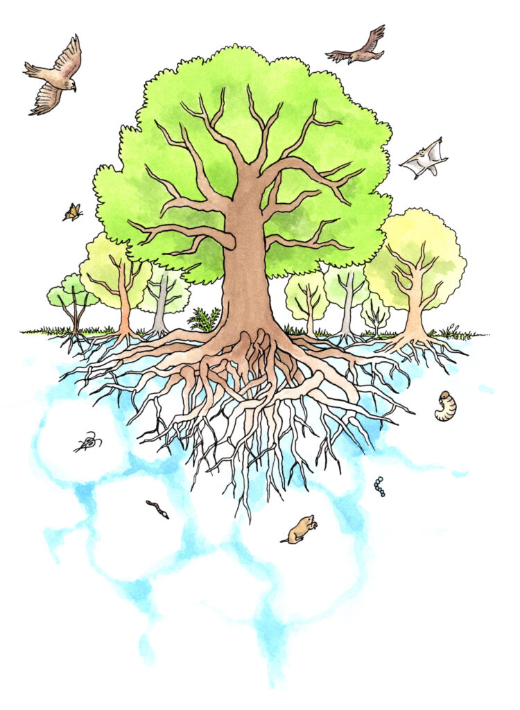 イラスト：地中に根を張り、空へ枝葉を伸ばす木に生き物たちが集っている